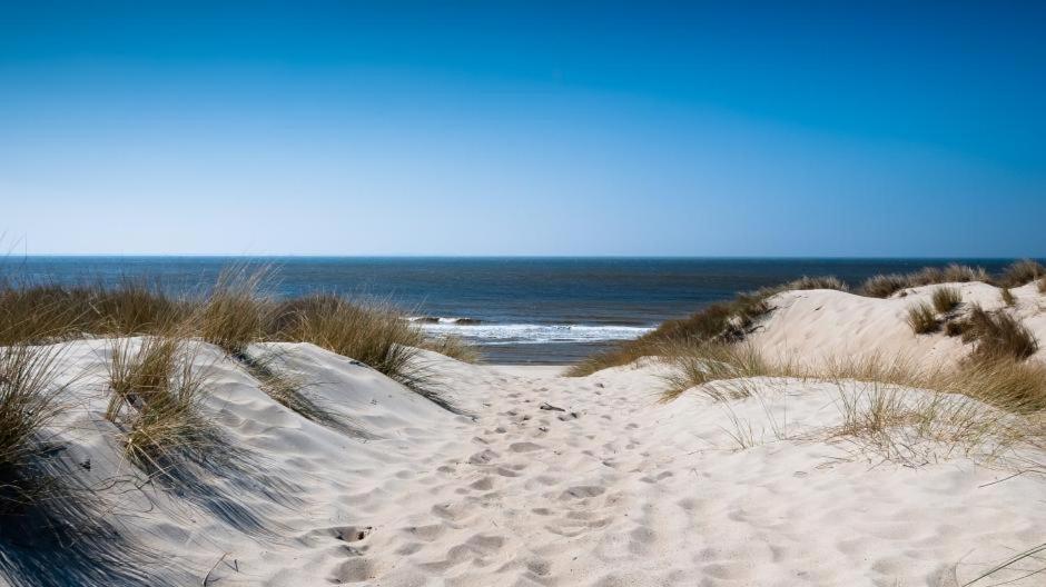 Luxury Suite Koksijde 301 Adult Only 外观 照片